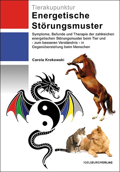 Energetische Störungsmuster