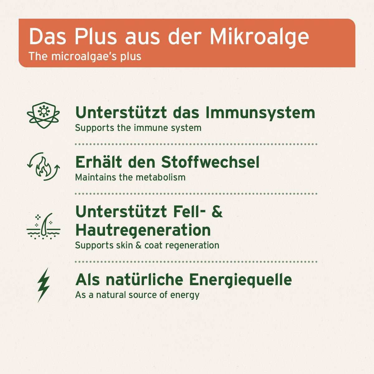 Werbung, Plakat, Text, Seite