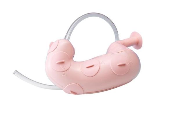 Erler-Zimmer Trainer für endoskopische Submukosadissektion (ESD)