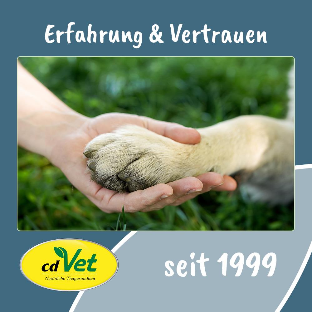 Elektronik, Hardware, Säugetier, Ratte, Nagetier