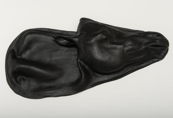 Erler-Zimmer Ersatzhaut für Pferdesimulator 1.0