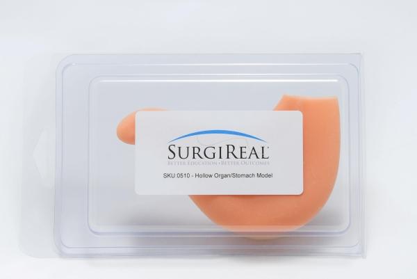 Erler-Zimmer Hohlorgan / Magen-Modell