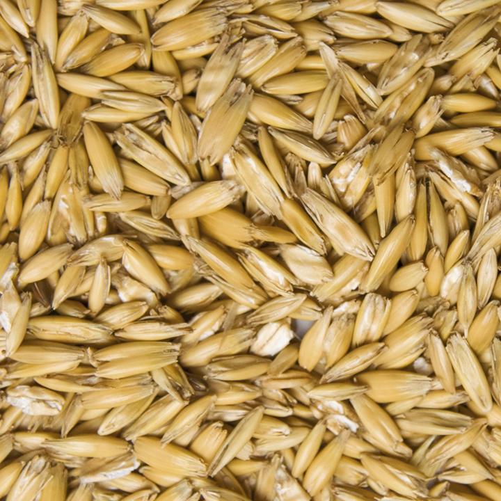 Höveler Walzhafer - 25 Kilogramm