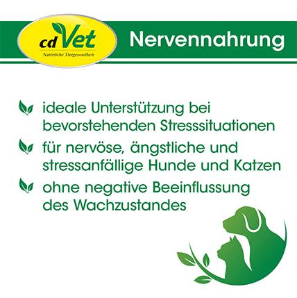 Kräuter, Pflanze, Werbung, Plakat, Kräuter, Pflanze, Werbung, Plakat