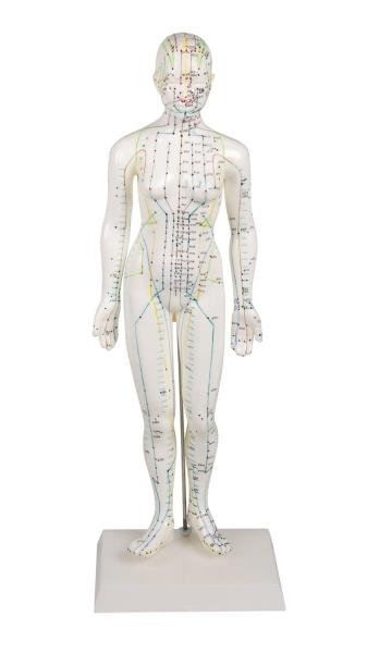 Erler-Zimmer Chinesische Akupunkturfigur, weiblich