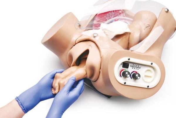 Erler-Zimmer Advanced OB Susie