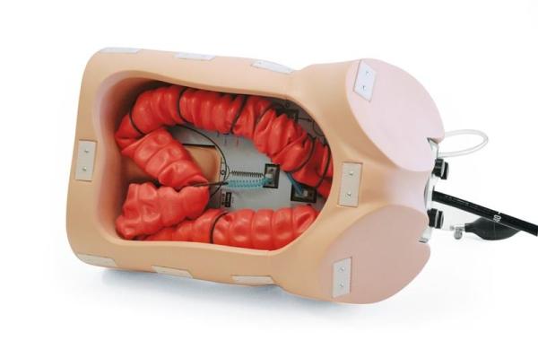 Erler-Zimmer Koloskopie-Trainingsmodell