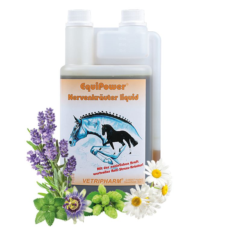 Kräuter, Pflanze, Blume, Flasche