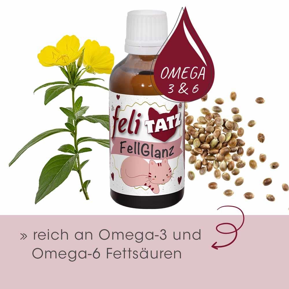 Kräuter, Pflanze, Essen, Würzen, Sirup