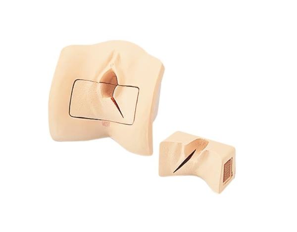 Erler-Zimmer Episiotomie-Vernähungs-Simulator