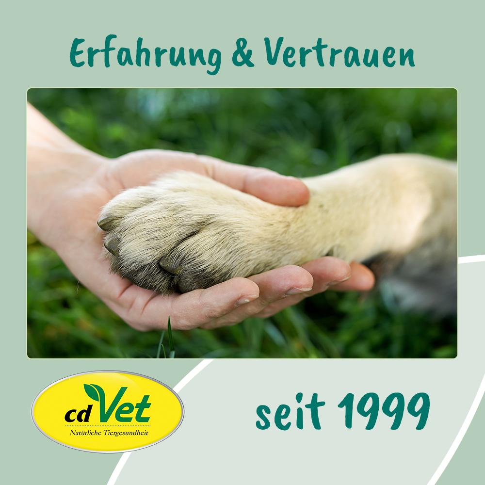 Elektronik, Hardware, Säugetier, Ratte, Nagetier, Elektronik, Hardware, Säugetier, Ratte, Nagetier