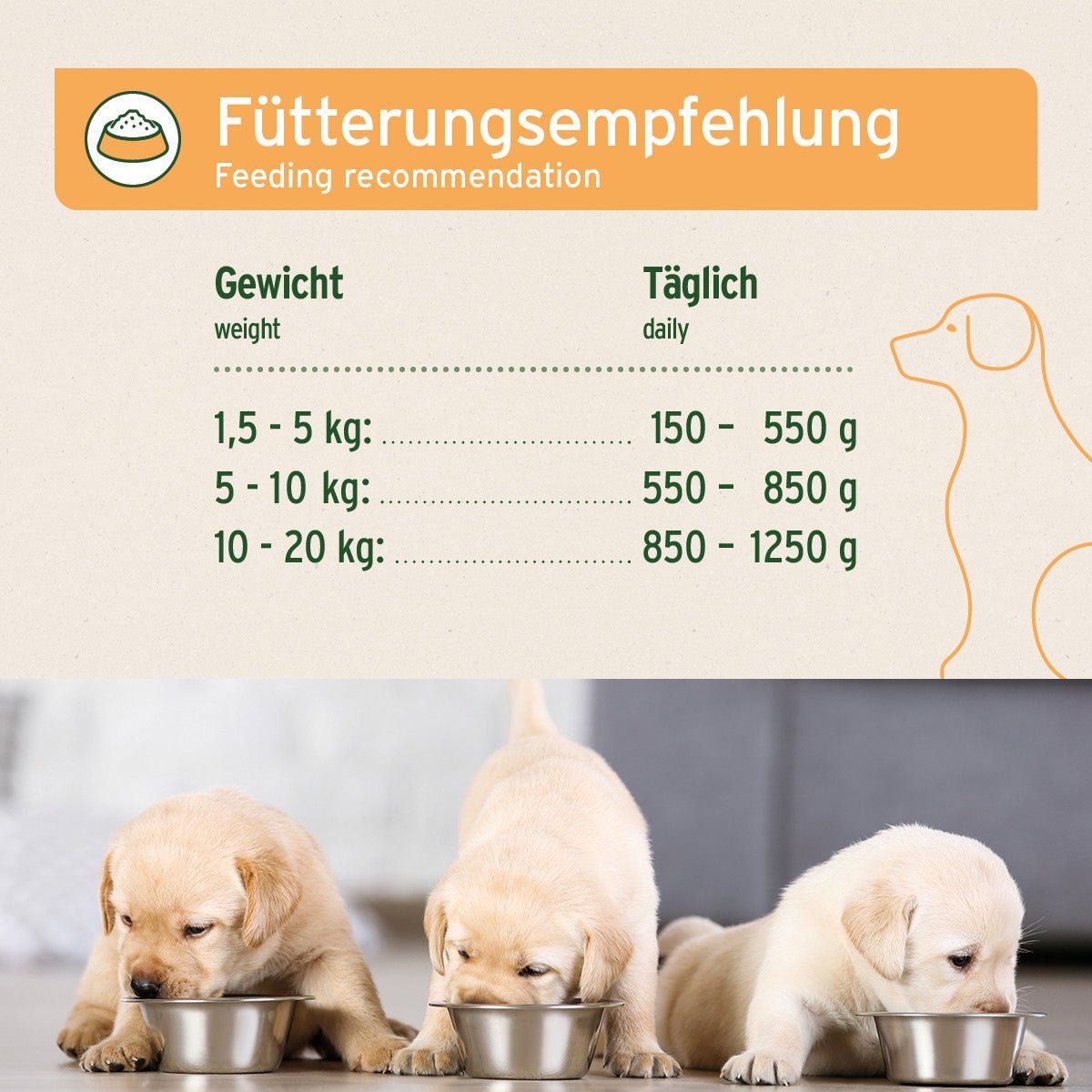 Hund, Säugetier, Haustier, Welpe, Text