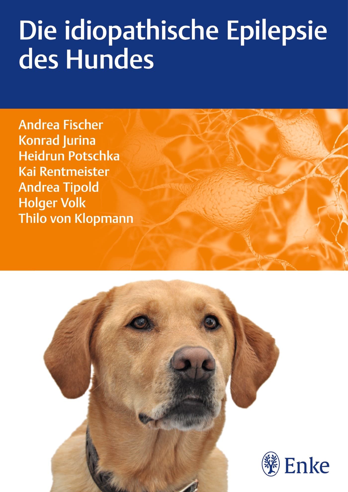 Hund, Haustier, Werbung, Plakat, Labrador Retriever