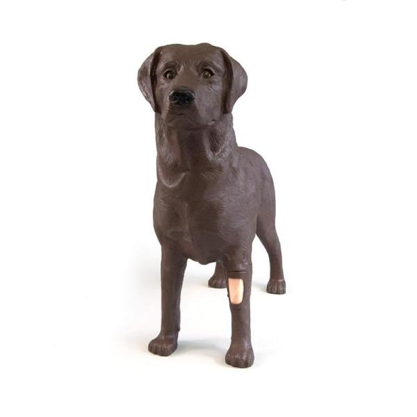 Erler-Zimmer Gynäkologischer Übungshund Bella