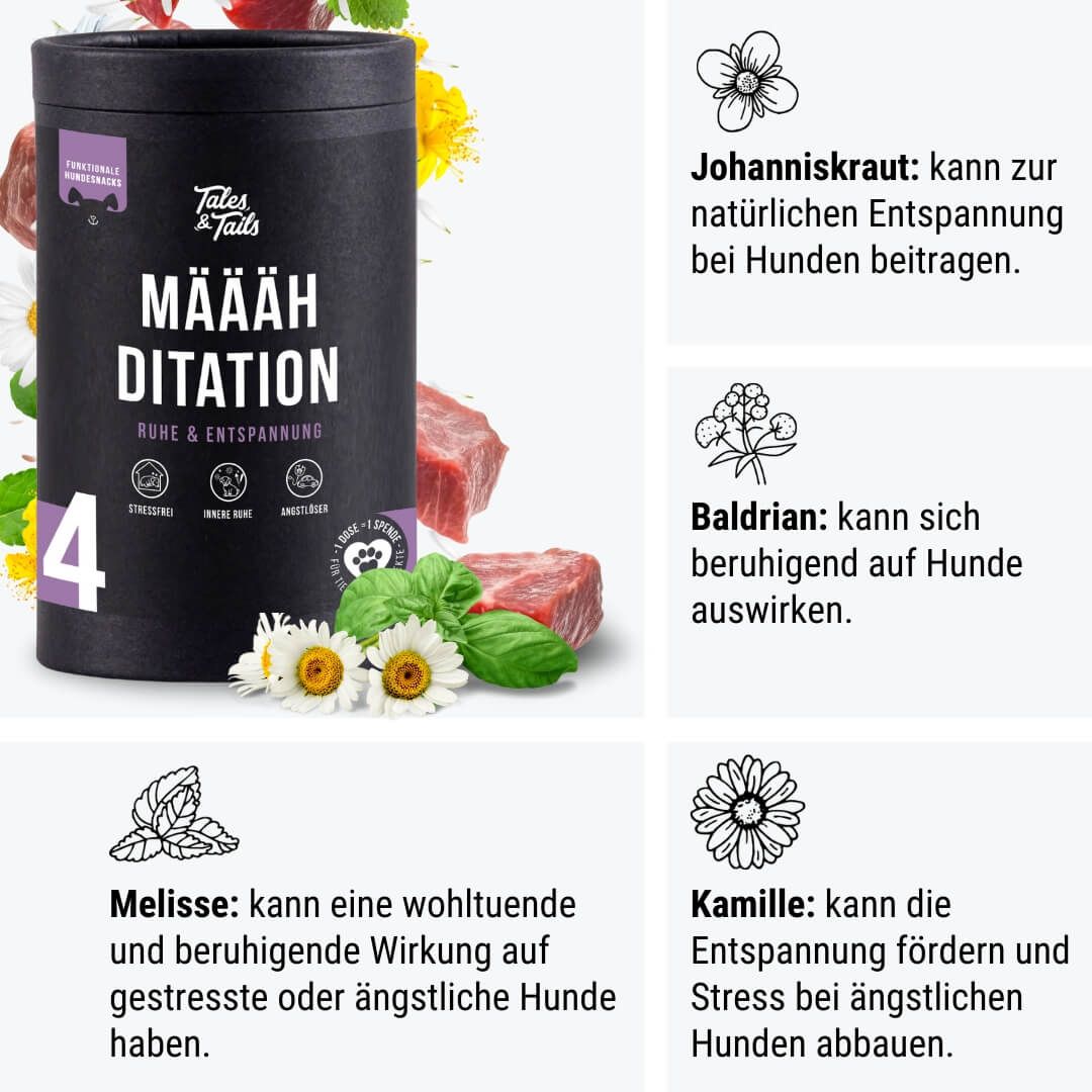 Werbung, Plakat, Kräuter, Pflanze, Schwein