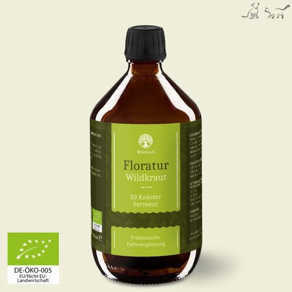 Kräuterig, Pflanze, Würzen, Sirup, Flasche