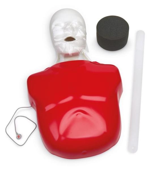 Erler-Zimmer Basic Buddy Plus