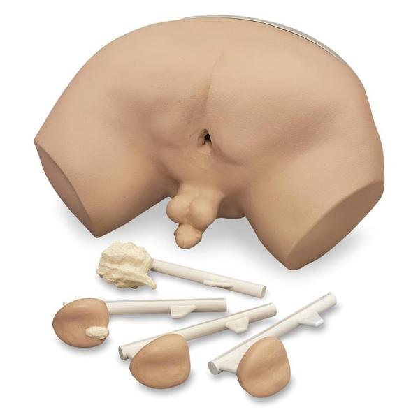 Erler-Zimmer Prostatauntersuchungs-Simulator