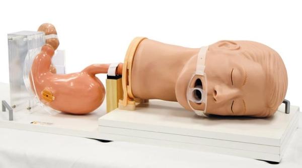 Erler-Zimmer Gastroskopie-Simulator Gastro (ÖGD)