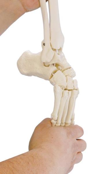 Erler-Zimmer Zusatzausstattung flexibler Fuß, rechts