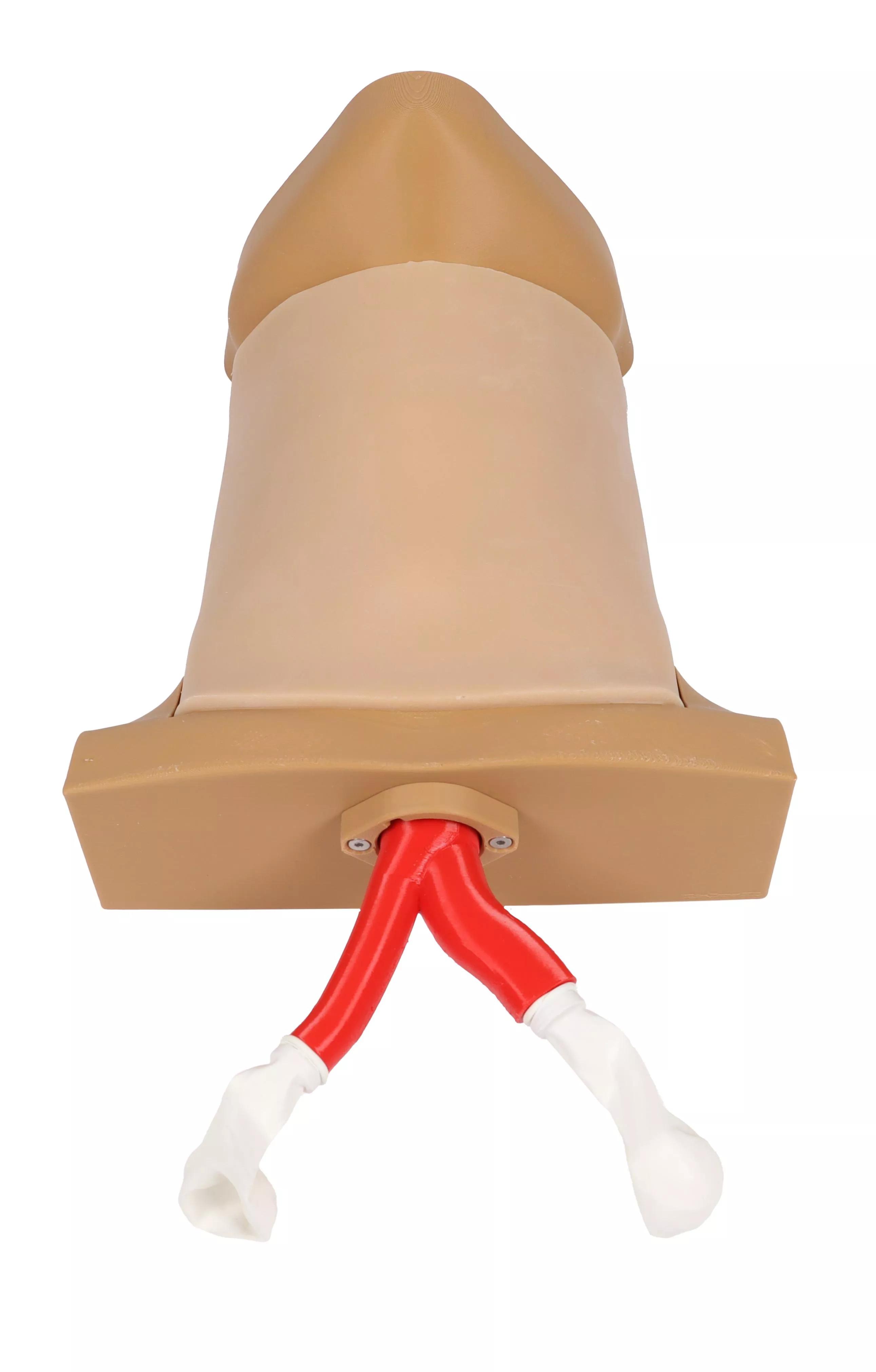 Erler-Zimmer Crico Chris Koniotomie Task Trainer