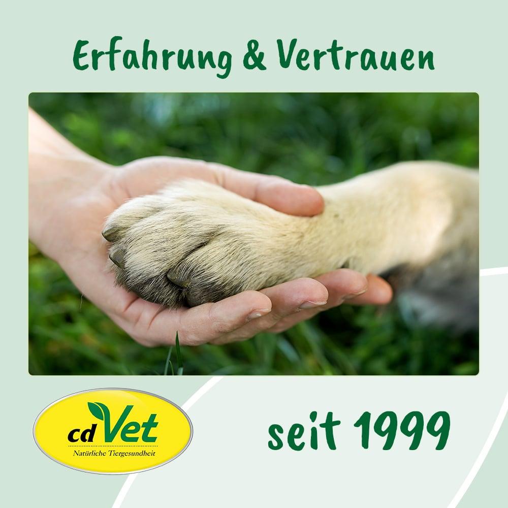 Elektronik, Hardware, Säugetier, Ratte, Nagetier, Elektronik, Hardware, Säugetier, Ratte, Nagetier