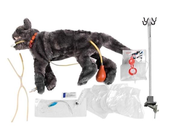 Care Critical Fluffy