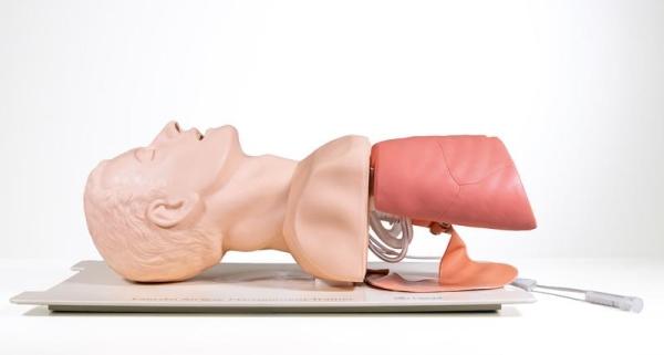Erler-Zimmer Airway Management Trainer