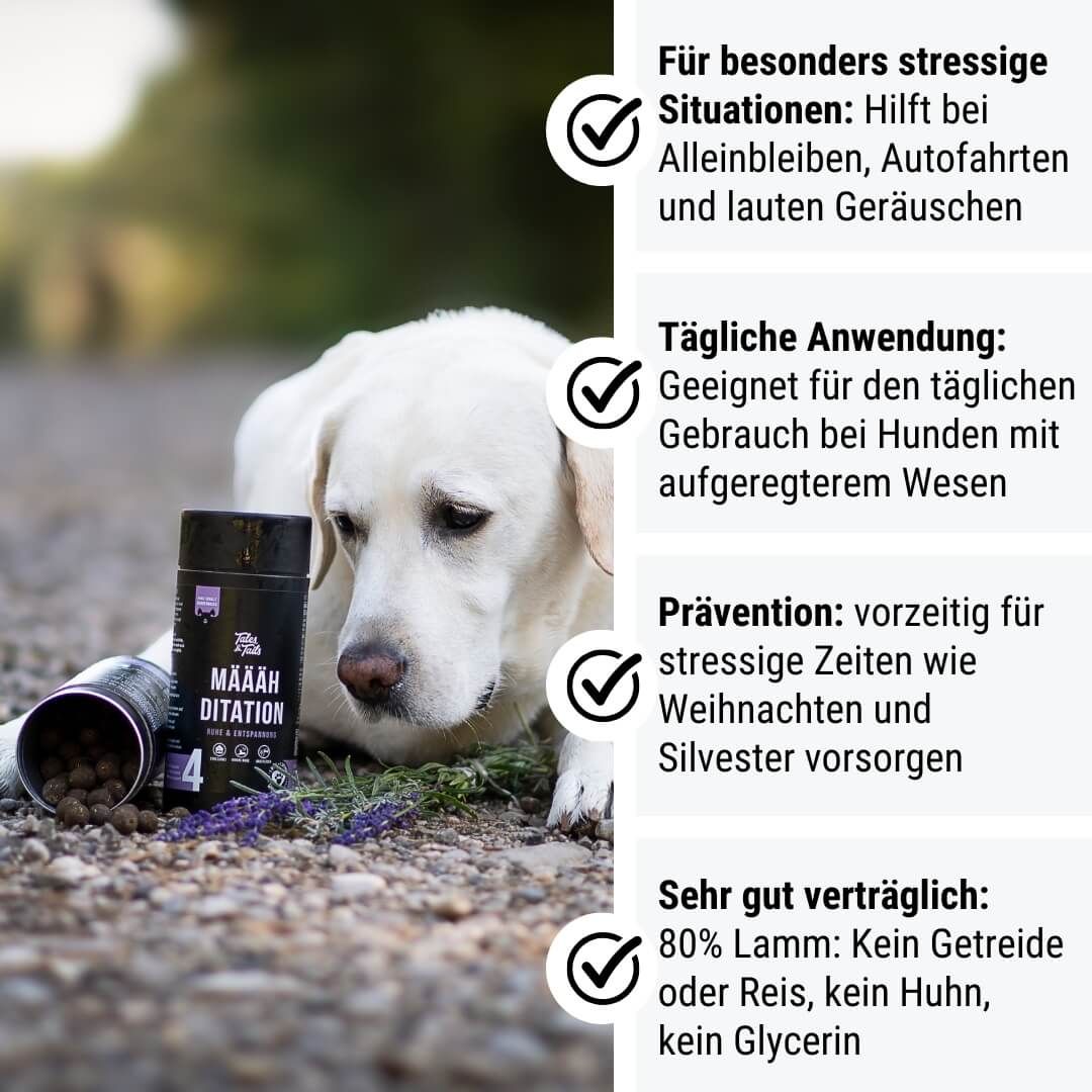 Photographie, Hund, Säugetier, Haustier, Werbung