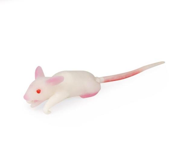 Erler-Zimmer Simulationsmodell Maus