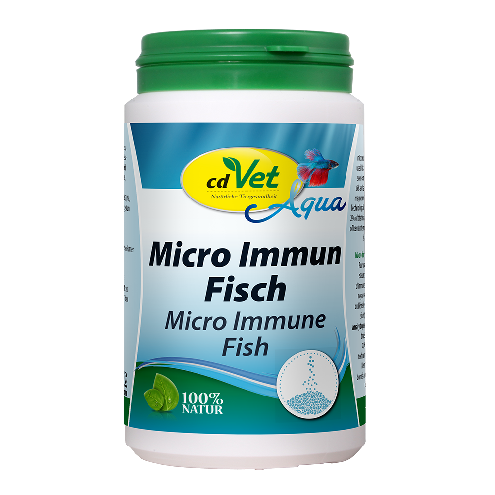 Kräuterig, Kräuter, Pflanze