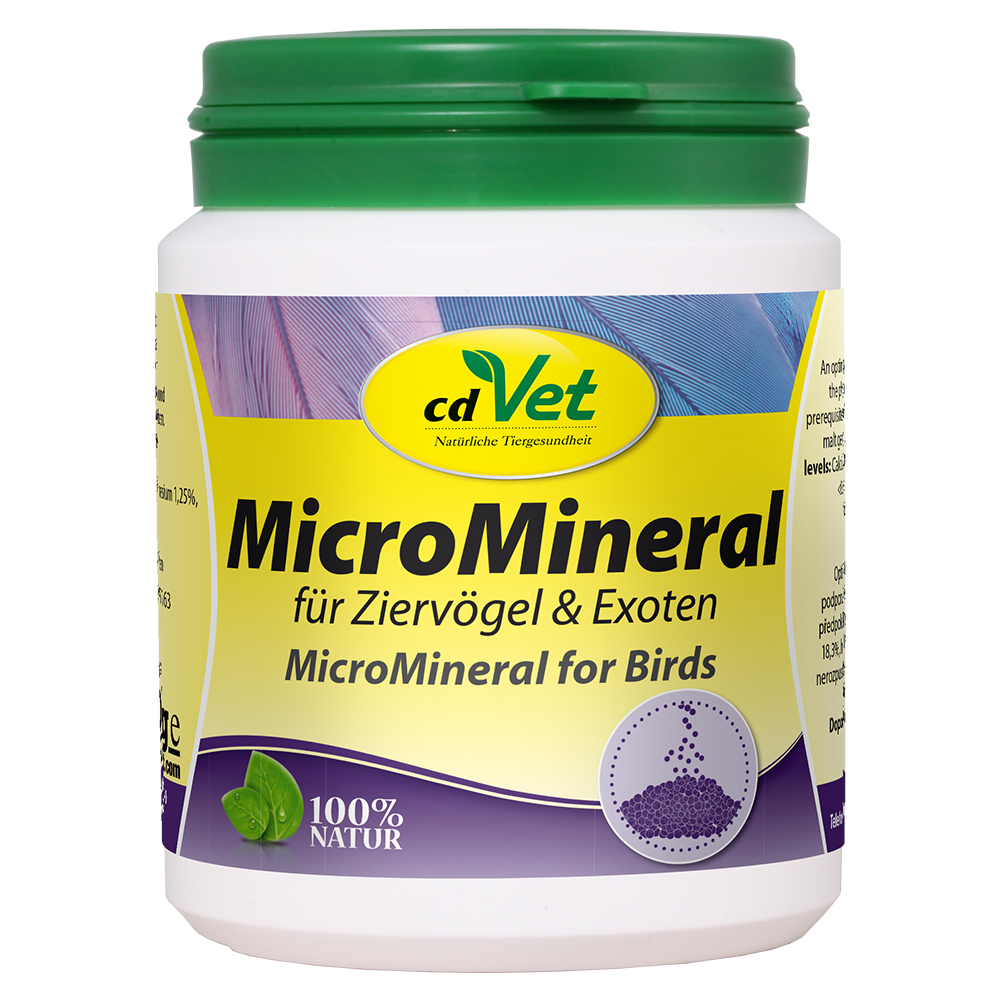 Kräuterig, Kräuter, Pflanze, Astragalus, Blume