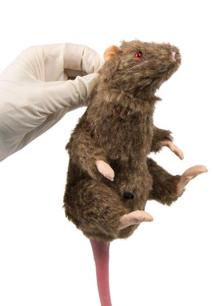 Erler-Zimmer Squeekums