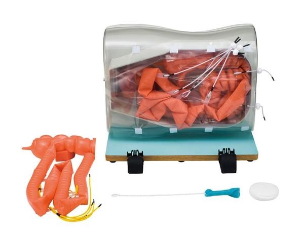 Erler-Zimmer Optionale Erweiterung Dünndarm (Mittelschwere Version) für LM107