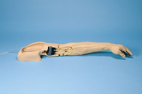 Erler-Zimmer Übungsarm Intravenöse Injektion