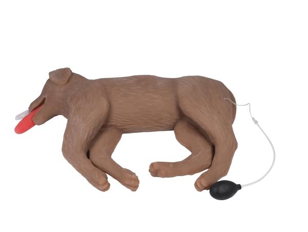 Erler-Zimmer HLW Übungshund CooPeR