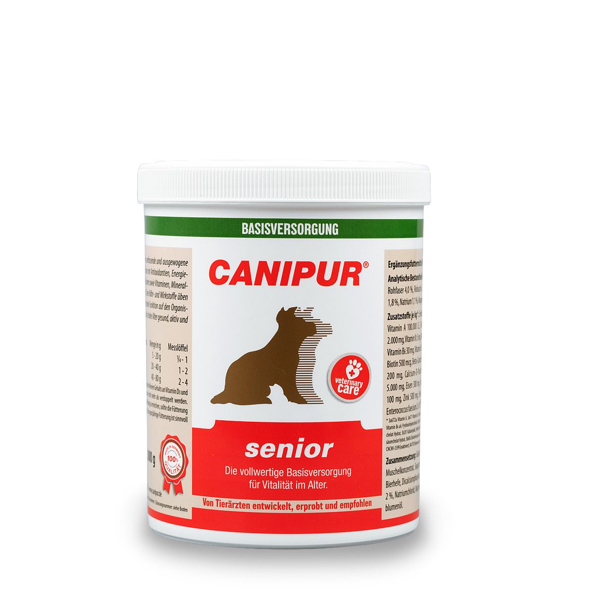 Tier, Bär, Säugetier, Tierwelt