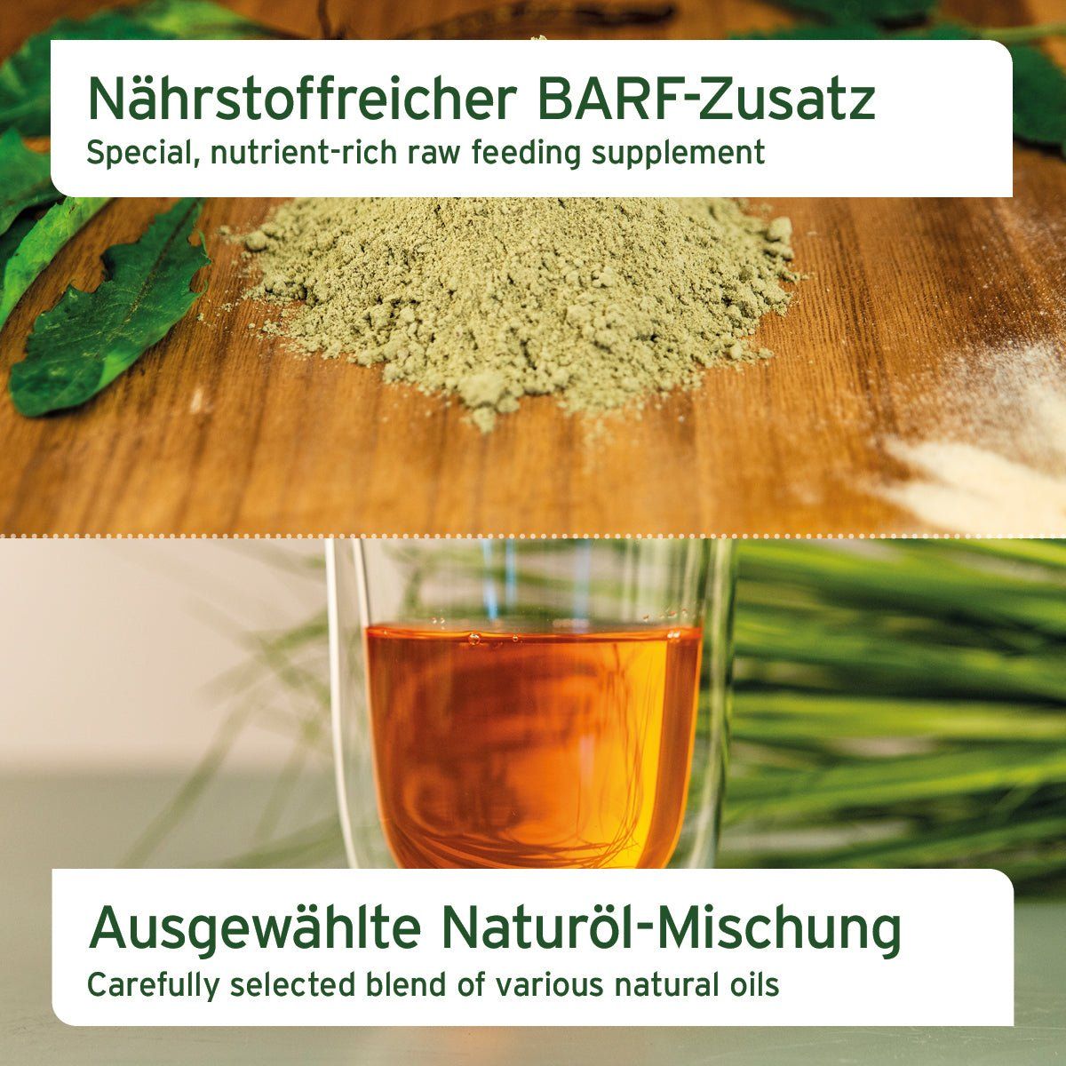 Kräuterig, Kräuter, Pflanze