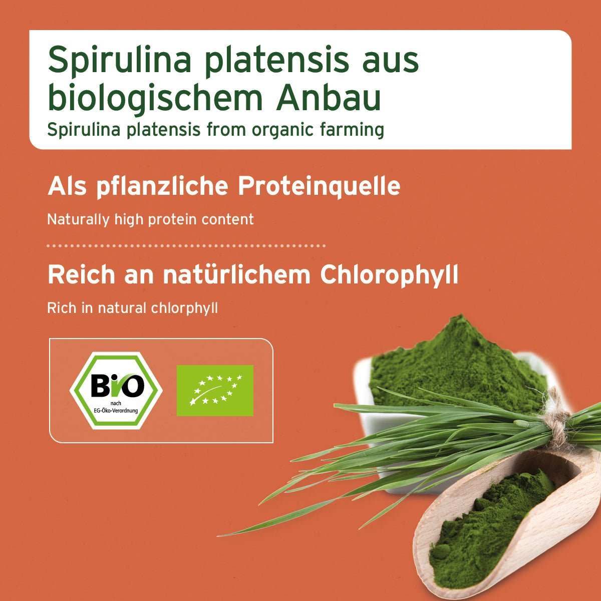 Kräuterig, Kräuter, Pflanze, Werbung, Plakat