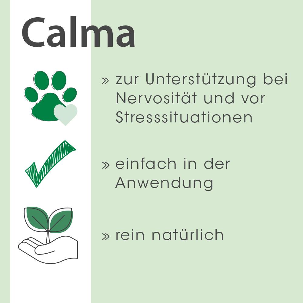 Kräuter, Pflanze, Blatt, Werbung, Plakat