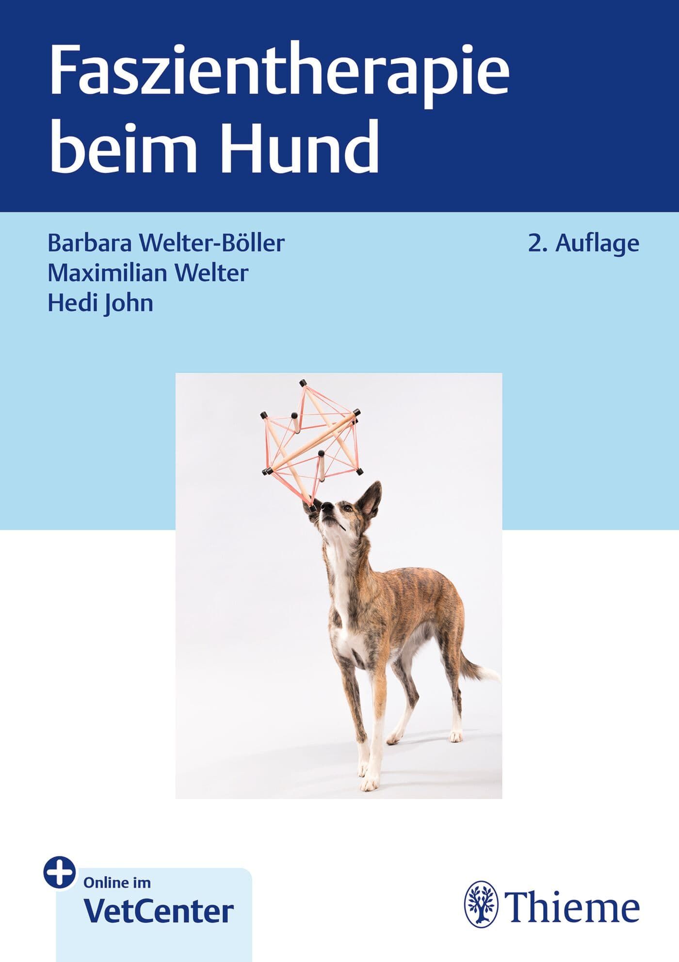 Tier, Hirsch, Säugetier, Tierwelt