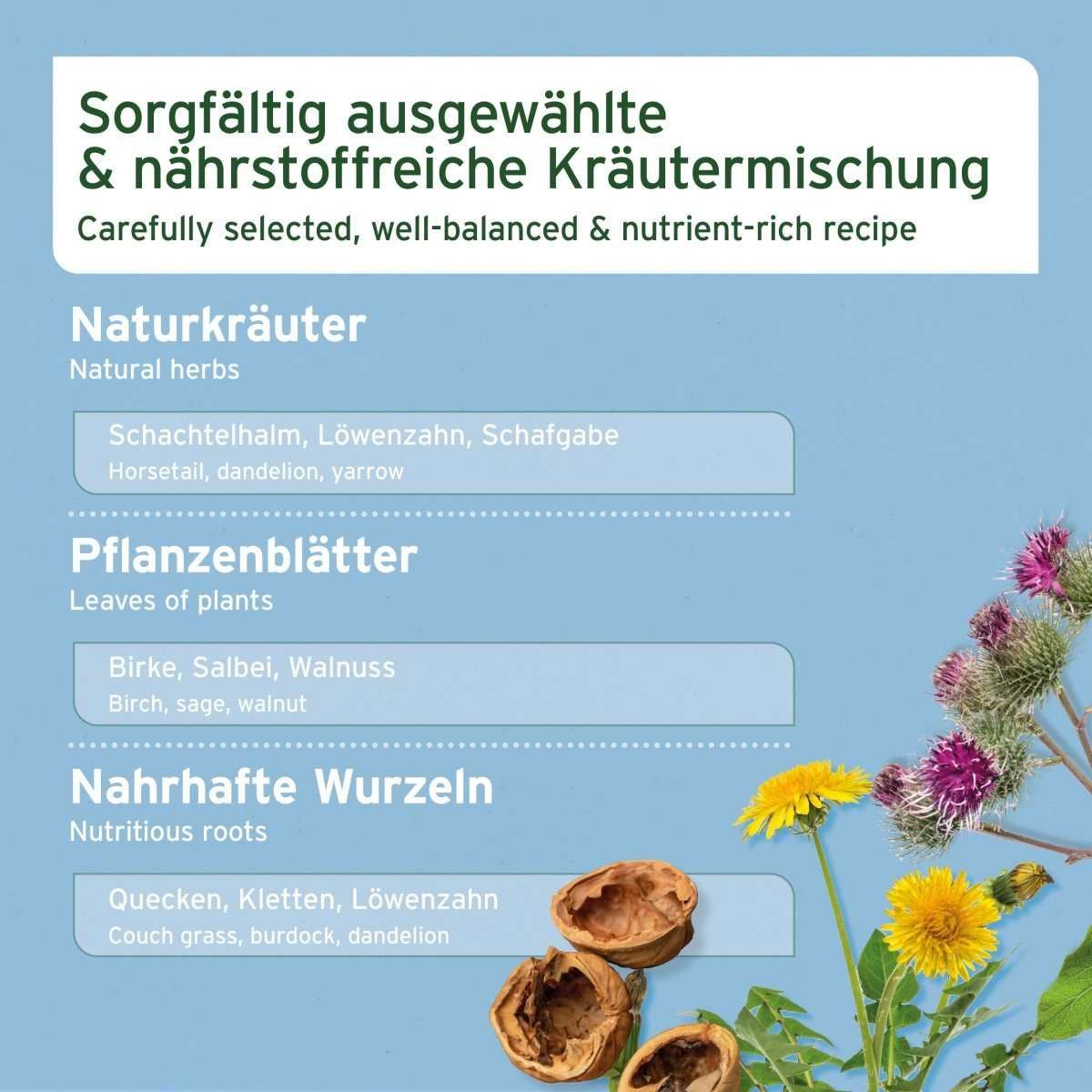 Werbung, Kräuterig, Text, Blume, Plakat