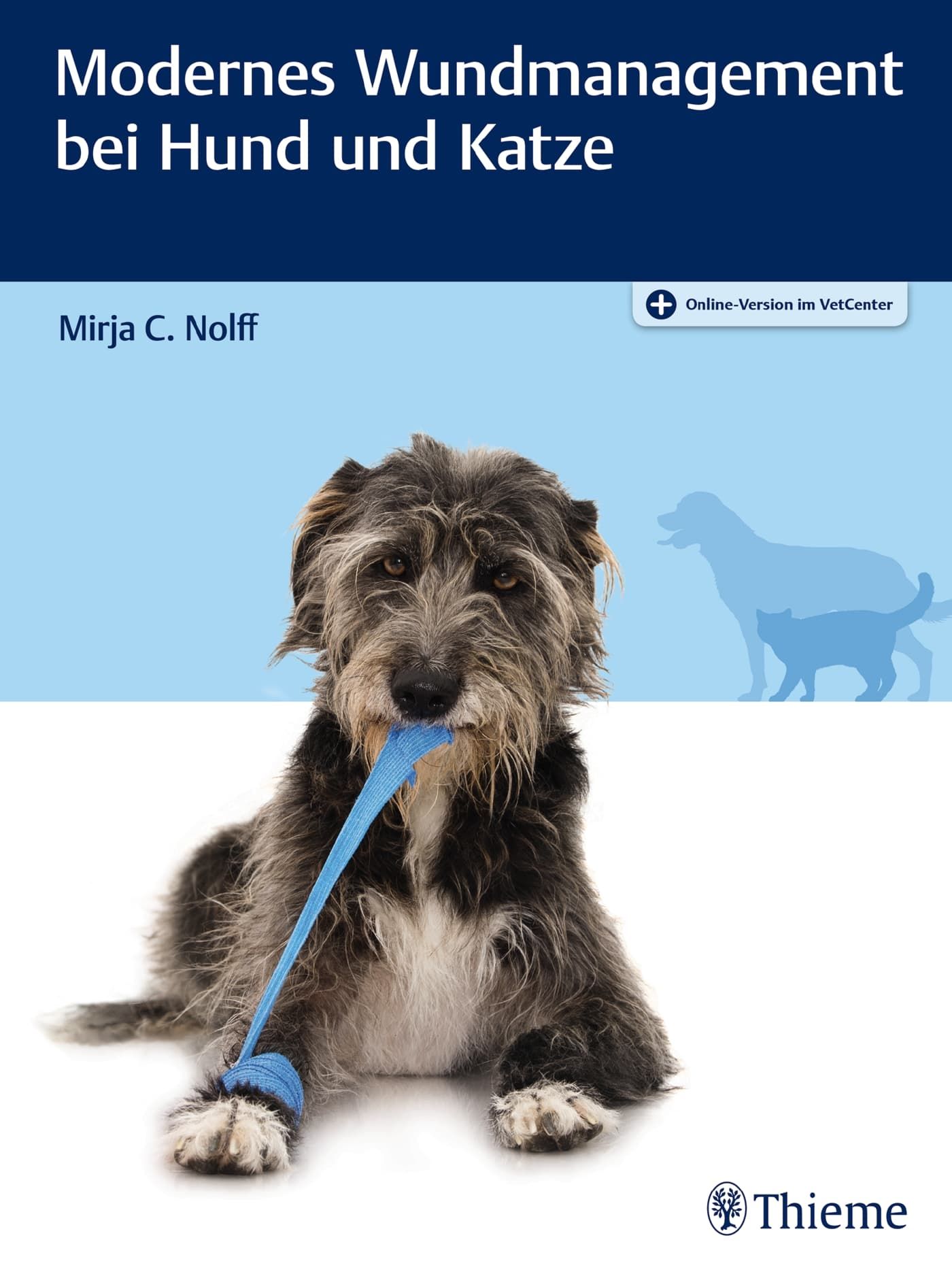 Hund, Haustier, Zubehör, Riemen