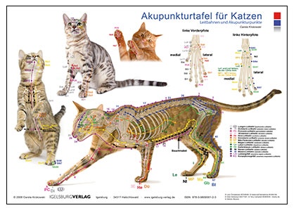 Akupunkturtafel Katze