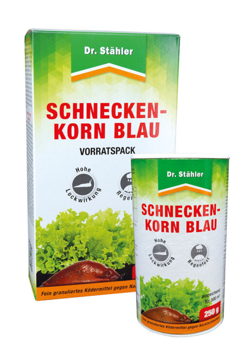 Kräuter, Pflanze