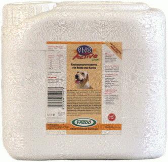 Hund, Säugetier, Haustier, Puder, Erste Hilfe