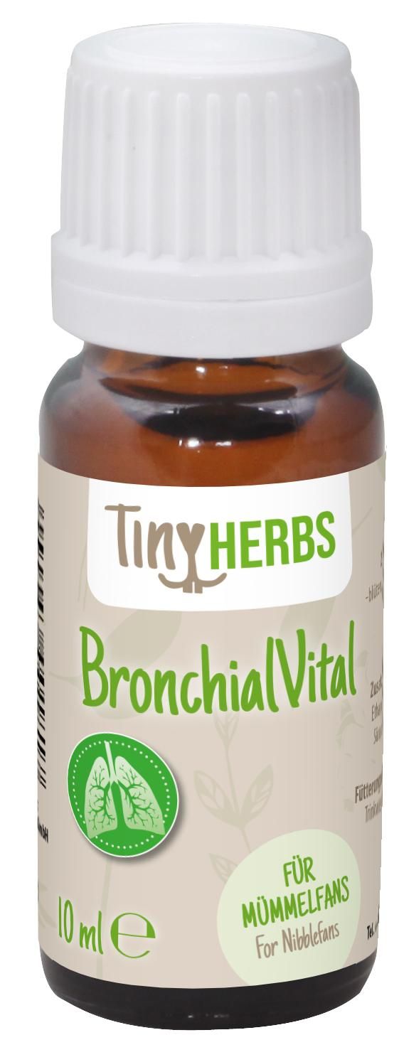 Kräuter, Pflanze, Astragalus, Blume