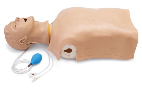 Erler-Zimmer Erweiterter Airway Larry Erwachsenen-Airway Management Trainer Torso