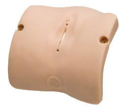 Erler-Zimmer Multipara-Vulva für LM101B, LM101J oder LM101HV