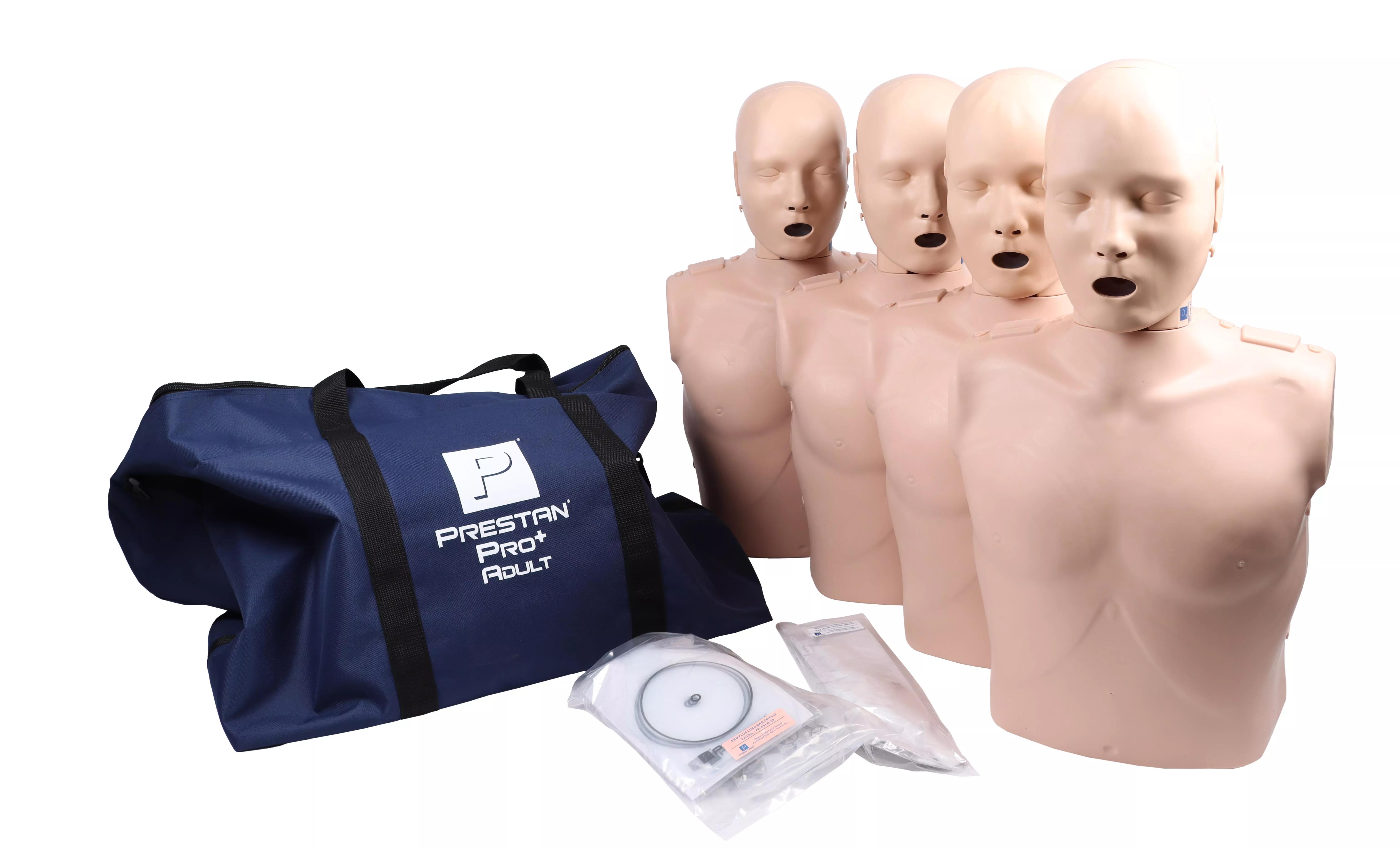 Erler-Zimmer Prestan Pro+ HLW-Torso mit Leuchtanzeige, 4er-Pack